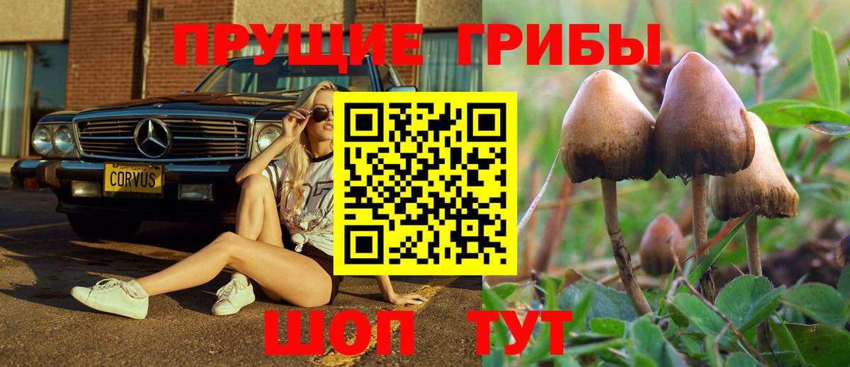 Гусь-Хрустальный  Галлюциногенные грибы GOLDEN TEACHER  Вход с VPN 